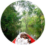 A boat traveling on the Amazon River in Brazil with Amazoniann Superfoods