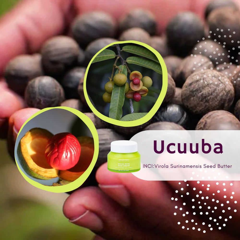 Beyond Shea Butter: The Rise of Ucuuba Butter in Modern Skincare