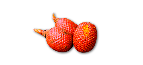 Buriti Fruit inci name: Mauritia Flexuosa